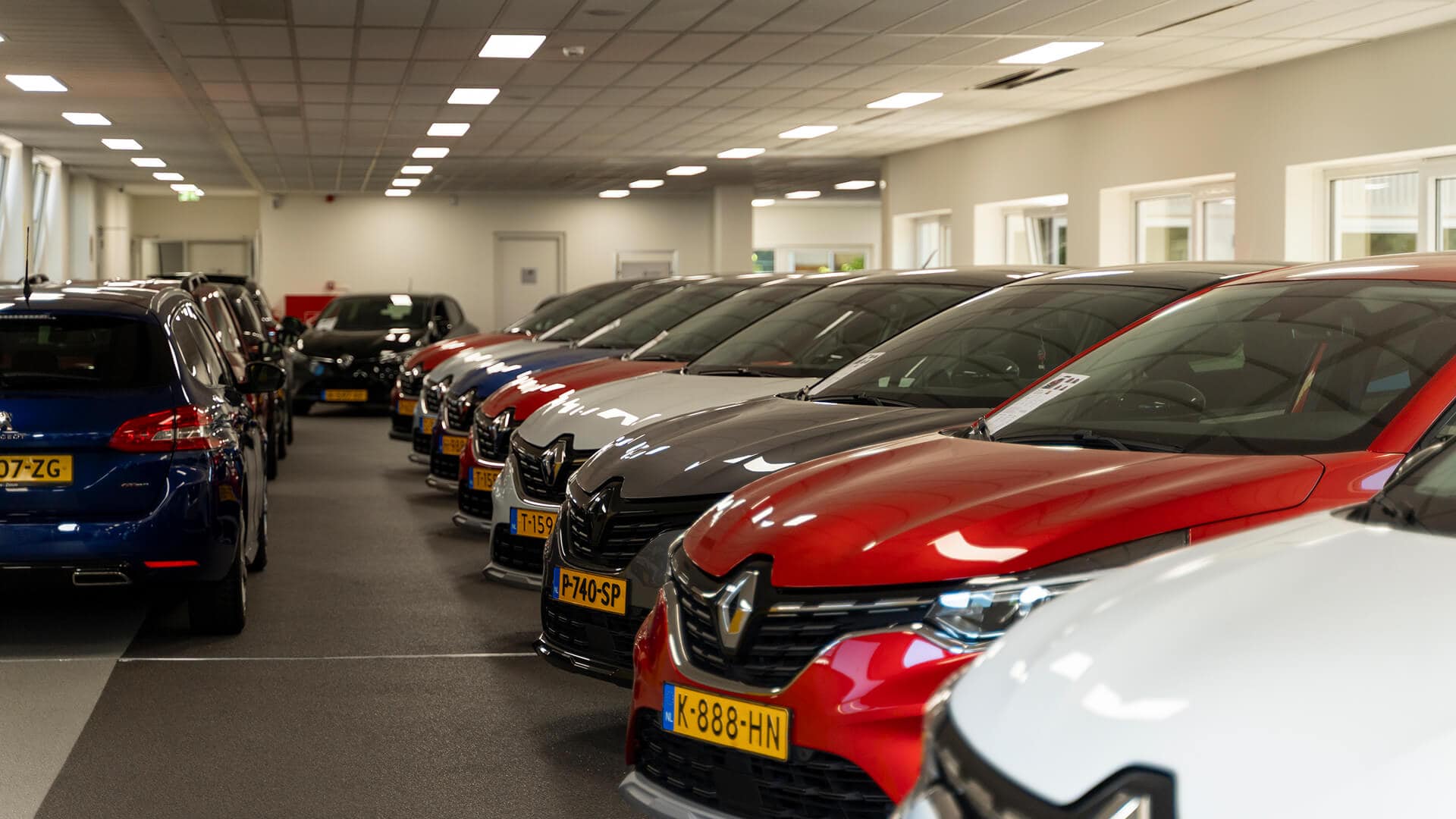 Showroom waarin rij met autos staat in verschillende kleuren met de neus dezelfde kant op